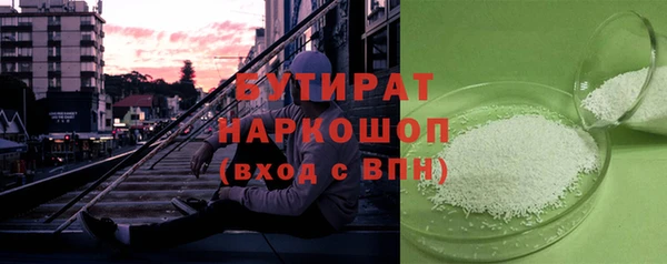 амф Ельня