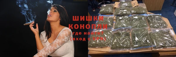 амф Ельня