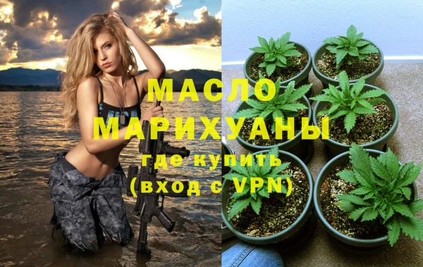 амф Ельня