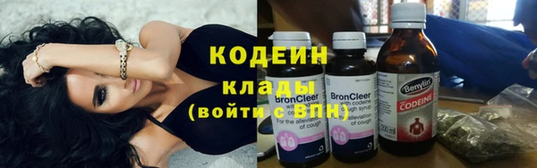 амф Ельня
