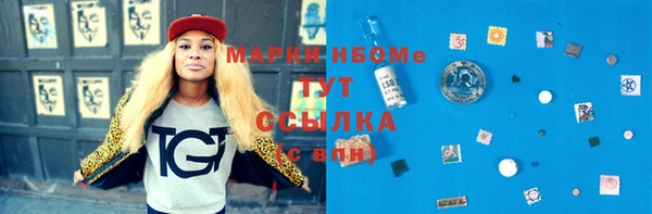 амф Ельня