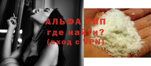 амф Ельня