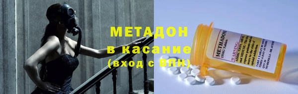амф Ельня
