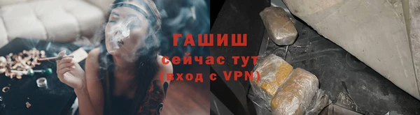амф Ельня