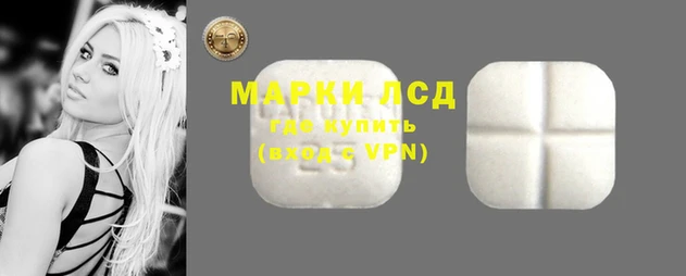 амф Ельня