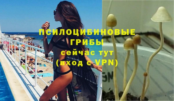 амф Елизово