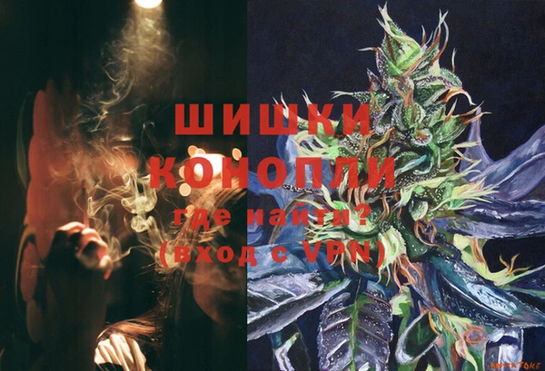 амф Ельня