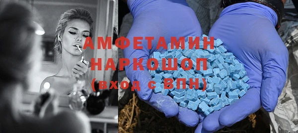 амф Ельня