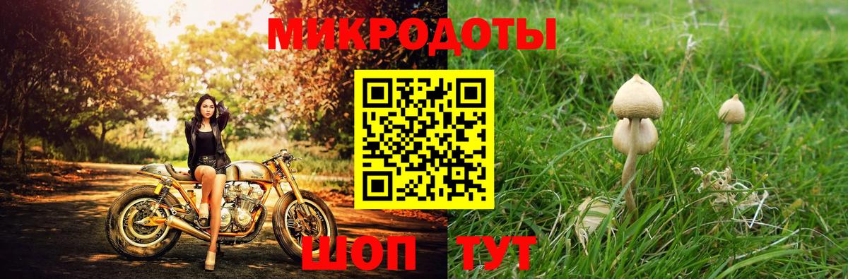 Псилоцибиновые грибы мухоморы  Вход с VPN  Карасук 